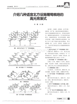 2020-介紹幾種適宜北方設(shè)施葡萄栽培的高光效架式_劉蕾.pdf