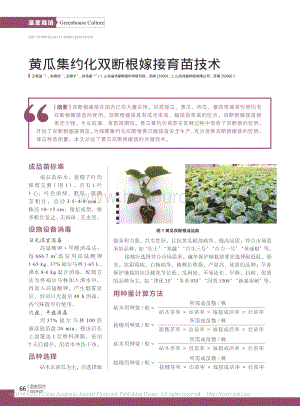 2019-黃瓜集約化雙斷根嫁接育苗技術(shù)_王希波.pdf