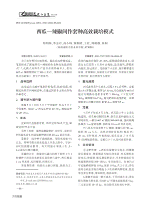 西瓜辣椒間作套種高效栽培模式.pdf