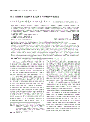 甜瓜細(xì)菌性果斑病病菌鑒定及不同材料抗病性測定.pdf