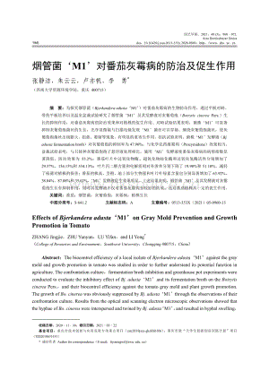 煙管菌 M1 對(duì)番茄灰霉病的防治及促生作用.pdf