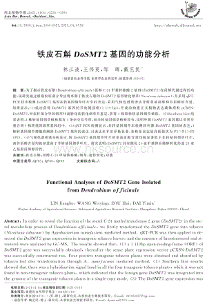 鐵皮石斛DoSMT2基因的功能分析.pdf