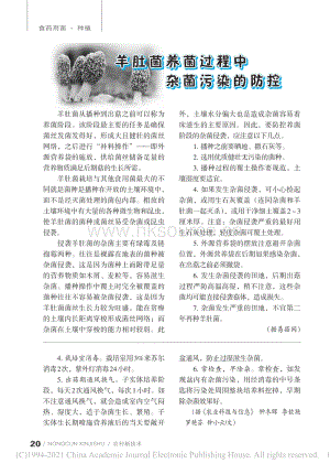 羊肚菌養(yǎng)菌過程中雜菌污染的防控.pdf