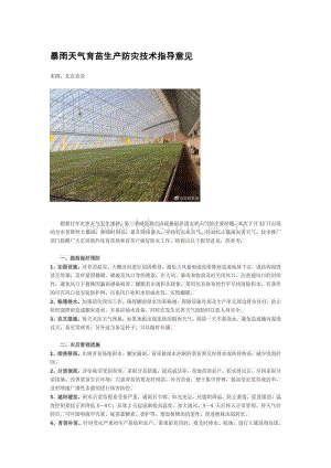 暴雨天氣育苗生產(chǎn)防災(zāi)技術(shù)指導(dǎo)意見.pdf