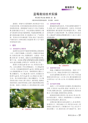 2021-藍(lán)莓栽培技術(shù)實操_賈云霞.pdf