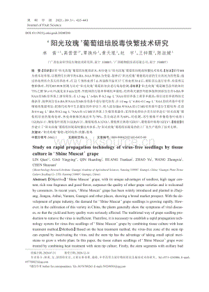2021-陽(yáng)光玫瑰葡萄組培脫毒快繁技術(shù)研究_林茜.pdf