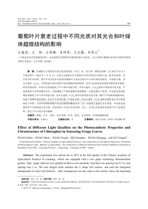 葡萄葉片衰老過程中不同光質(zhì)對其光合和葉綠體超微結(jié)構(gòu)的影響.pdf