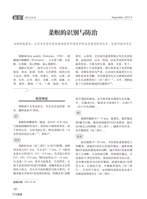 2021-菜螟的識別與防治_虞國躍.pdf