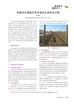 2021-高寒地區(qū)葡萄冬季凍害發(fā)生原因及對策_(dá)胡禧熙.pdf