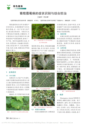 2020-葡萄霜霉病的癥狀識(shí)別與綜合防治_王迪軒.pdf