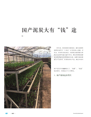 【泥炭技術(shù)】國產(chǎn)泥炭大有“錢”途.pdf