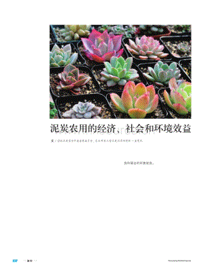 【泥炭技術(shù)】泥炭農(nóng)用的經(jīng)濟、社會和環(huán)境效益.pdf