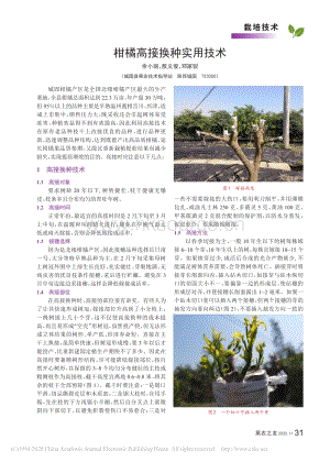 2020-柑橘高接換種實用技術(shù)_余小麗.pdf