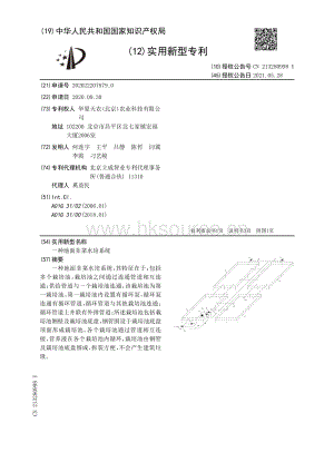 專利：一種地面韭菜水培系統(tǒng).pdf