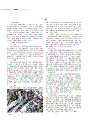 設(shè)施芹菜種植技術(shù)研究.pdf
