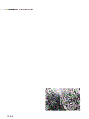 不同施肥量對(duì)黃瓜生長(zhǎng)發(fā)育及品質(zhì)的影響.pdf