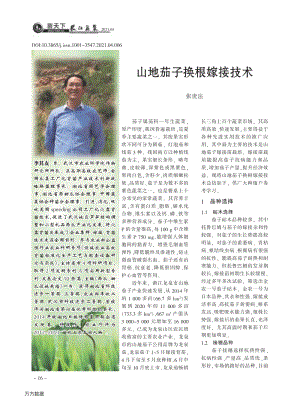 山地茄子換根嫁接技術(shù).pdf