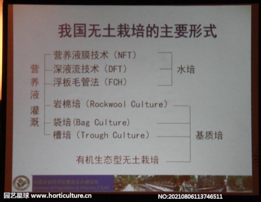 我國無土栽培的主要形式.jpg