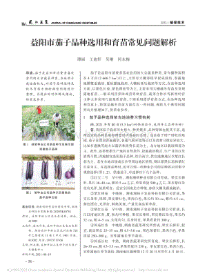 益陽(yáng)市茄子品種選用和育苗常見問(wèn)題解析.pdf