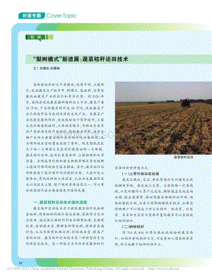 “梨樹模式”新進展：蔬菜秸稈還田技術.pdf