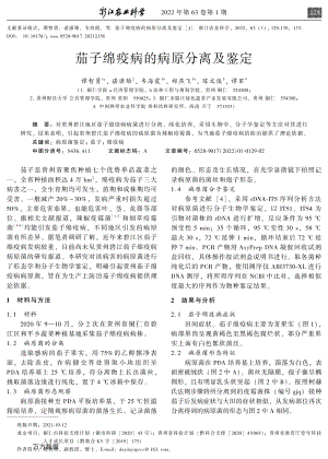 茄子綿疫病的病原分離及鑒定.pdf