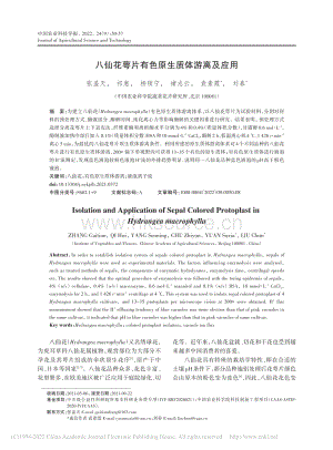 八仙花萼片有色原生質(zhì)體游離及應(yīng)用.pdf