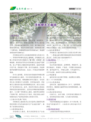 洋桔梗無土栽培.pdf