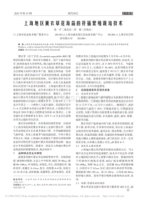 上海地區(qū)薰衣草花海苗的扦插繁殖栽培技術(shù)_張平.pdf