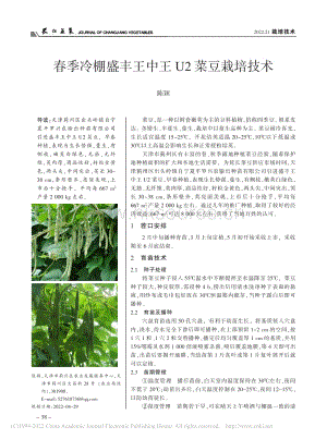 春季冷棚盛豐王中王U2菜豆栽培技術(shù).pdf