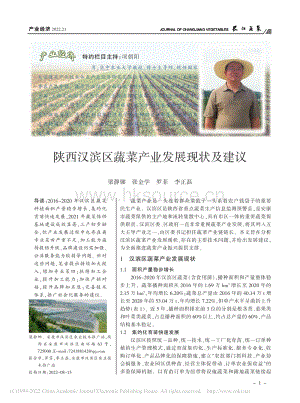 陜西漢濱區(qū)蔬菜產業(yè)發(fā)展現狀及建議.pdf