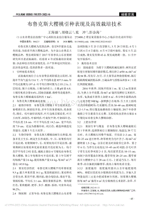 布魯克斯大櫻桃引種表現(xiàn)及高效栽培技術(shù).pdf