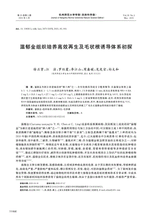 溫郁金組織培養(yǎng)高效再生及毛狀根誘導(dǎo)體系初探.pdf