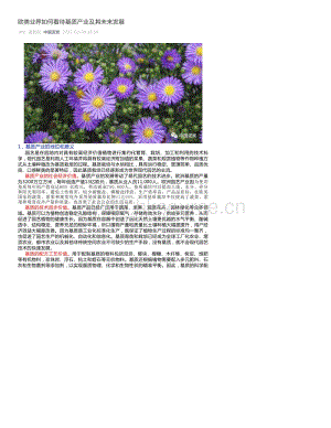 歐美業(yè)界如何看待基質(zhì)產(chǎn)業(yè)及其未來發(fā)展.pdf