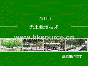 蔬菜生產(chǎn)技術(shù)（北方本）課件 4.2、栽培槽選擇與建造.ppt