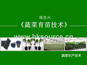 蔬菜生產(chǎn)技術(shù)（北方本）課件 6.1 育苗前準(zhǔn)備.ppt