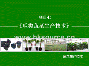 蔬菜生產(chǎn)技術(shù)（北方本）課件 7.2 西瓜生產(chǎn)技術(shù).ppt
