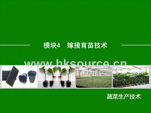 蔬菜生產(chǎn)技術(shù)（北方本）課件 6.4嫁接育苗技術(shù).ppt