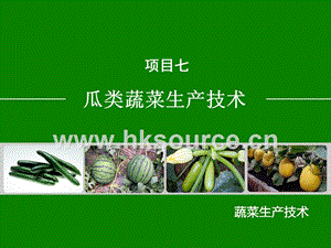 蔬菜生產(chǎn)技術(shù)（北方本）課件 7.1 黃瓜生產(chǎn)技術(shù).ppt