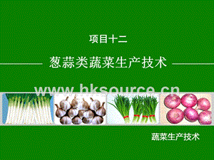 蔬菜生產(chǎn)技術(shù)（北方本）課件 12.3大蒜生產(chǎn)技術(shù).ppt