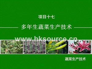 蔬菜生產(chǎn)技術(shù)（北方本）課件 17.2溫室香椿生產(chǎn)技術(shù).ppt