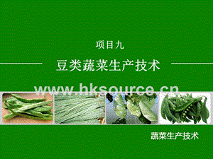 蔬菜生產(chǎn)技術(shù)（北方本）課件 9.1菜豆生產(chǎn)技術(shù).ppt