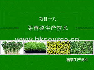 蔬菜生產(chǎn)技術(shù)（北方本）課件 18.2蘿卜苗生產(chǎn)技術(shù).ppt