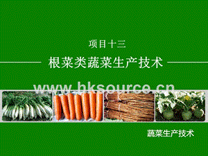 蔬菜生產(chǎn)技術(shù)（北方本）課件 13.3根用芥菜生產(chǎn)技術(shù).ppt