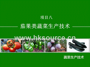 蔬菜生產(chǎn)技術(shù)（北方本）課件 8.3辣椒生產(chǎn)技術(shù).ppt