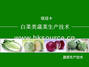 蔬菜生產(chǎn)技術(shù)（北方本）課件 10.1大白菜生產(chǎn)技術(shù).ppt