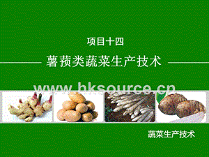 蔬菜生產(chǎn)技術(shù)（北方本）課件 14.1馬鈴薯生產(chǎn)技術(shù).ppt