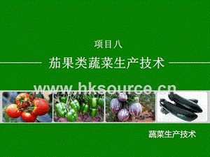 蔬菜生產(chǎn)技術(shù)（北方本）課件 8.1番茄生產(chǎn)技術(shù).ppt