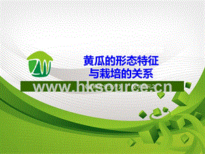 設(shè)施蔬菜生產(chǎn)-黃瓜的形態(tài)特征與栽培的關(guān)系.ppt