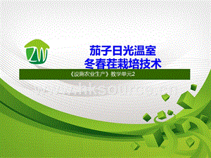 設(shè)施蔬菜生產(chǎn)-茄子日光溫室冬春茬栽培技術(shù)2.ppt