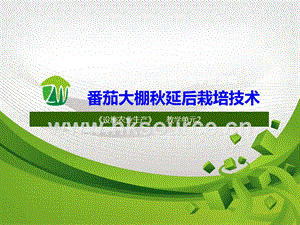 設(shè)施蔬菜生產(chǎn)-番茄秋延后大棚栽培4.ppt
